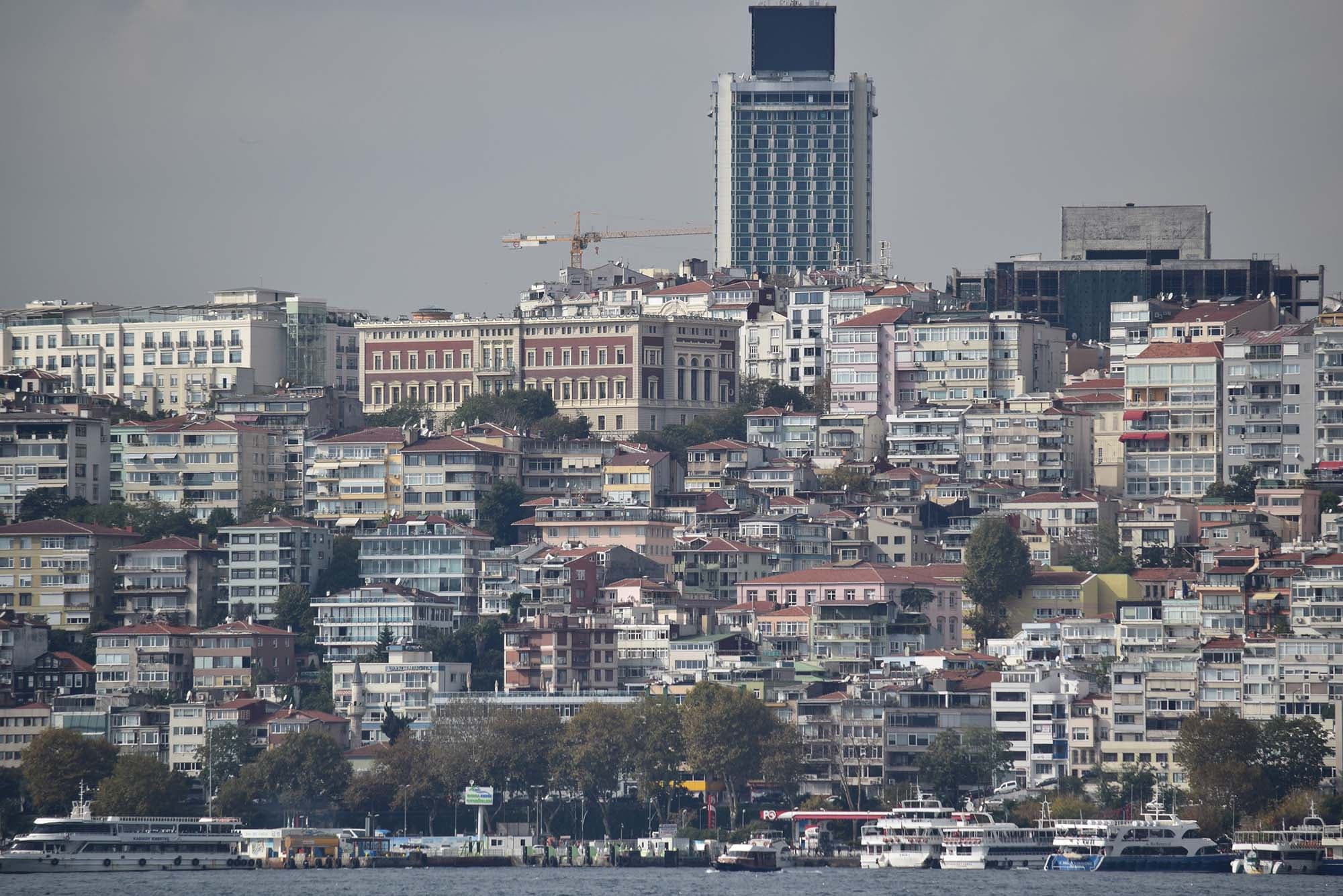 photographer image 6