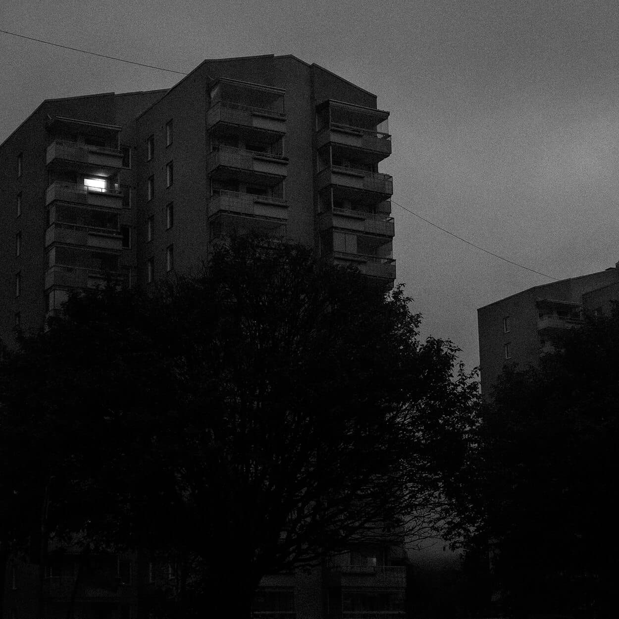 photographer image 2