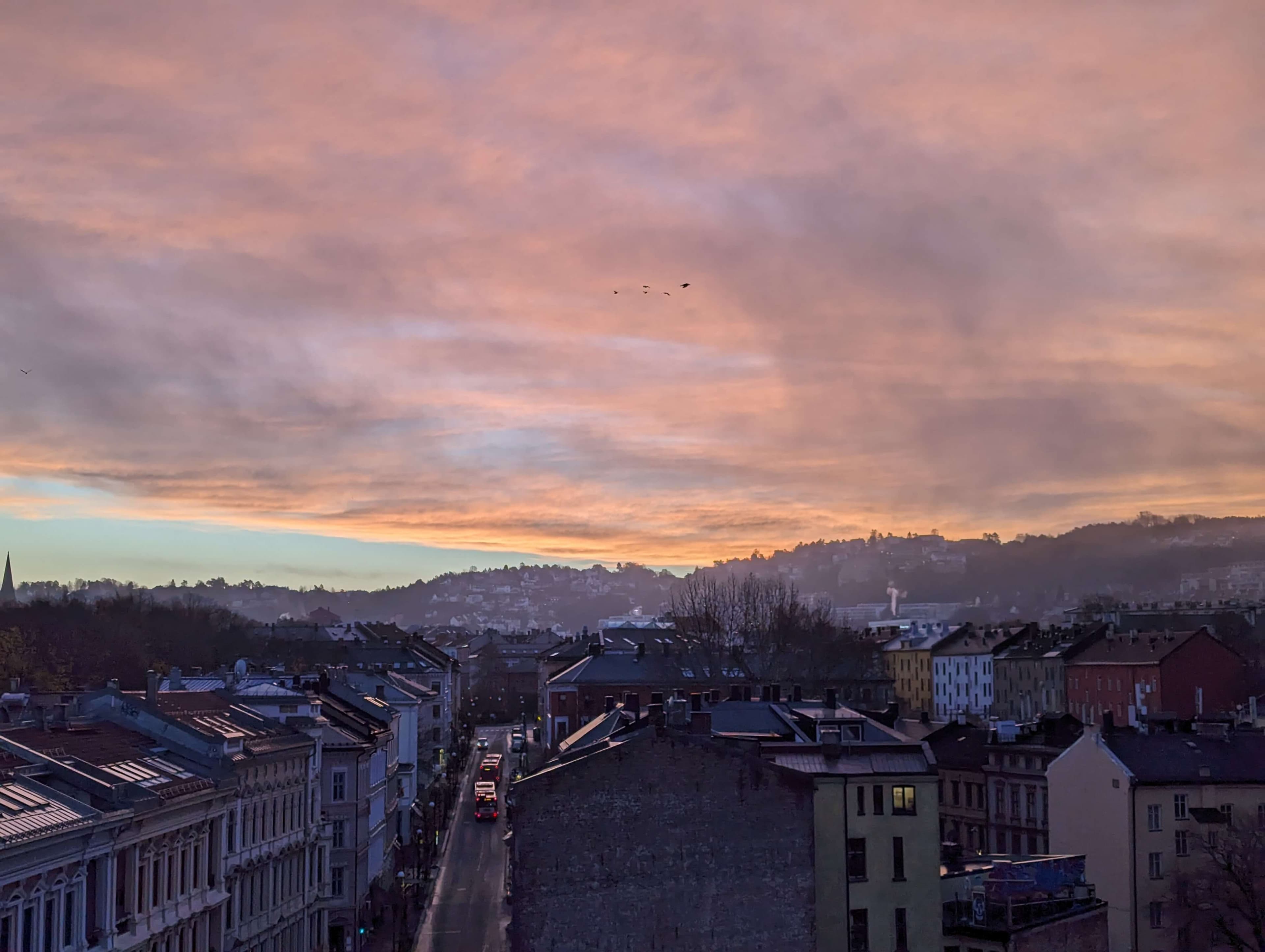 photographer image 5