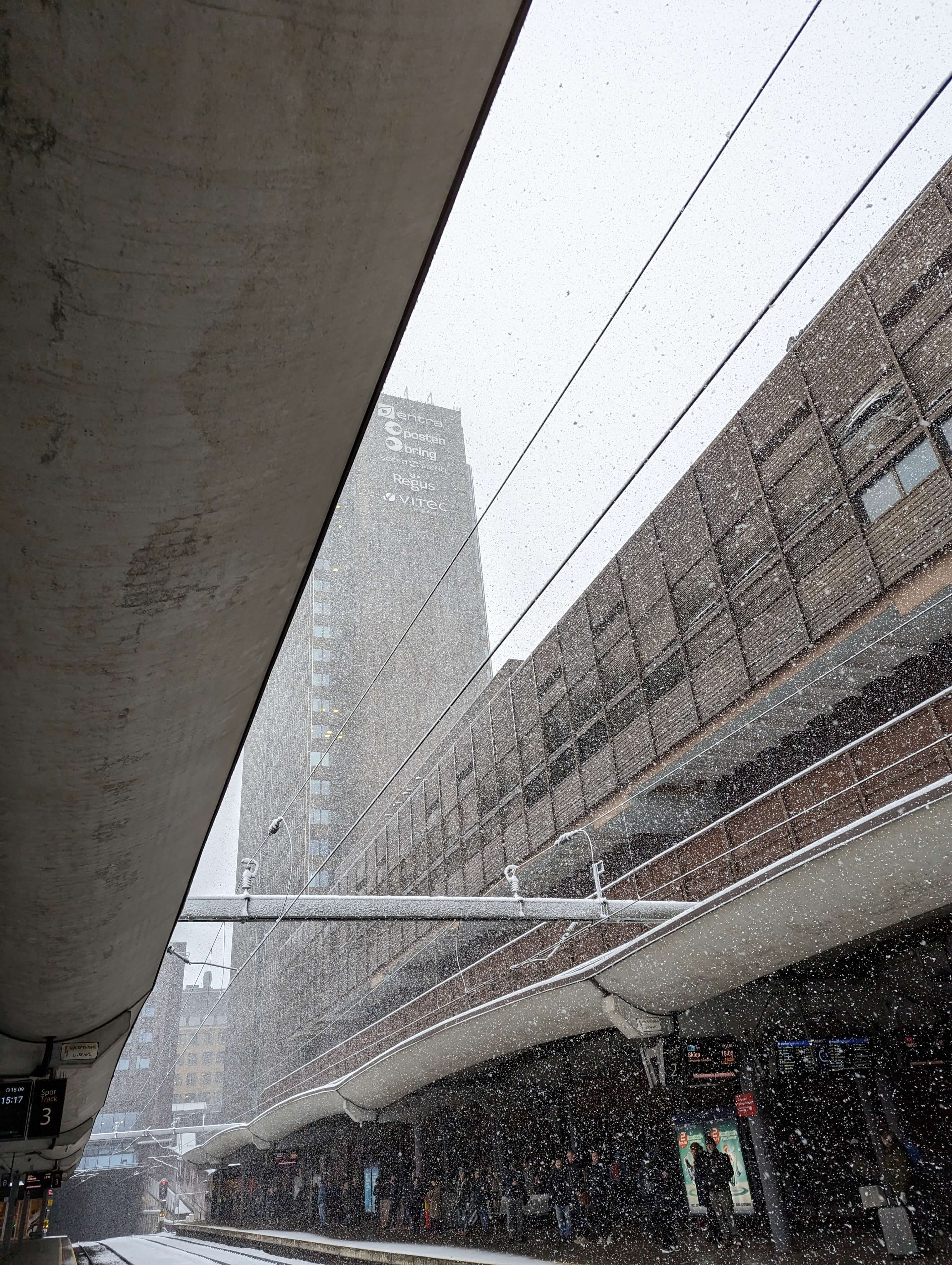 photographer image 2