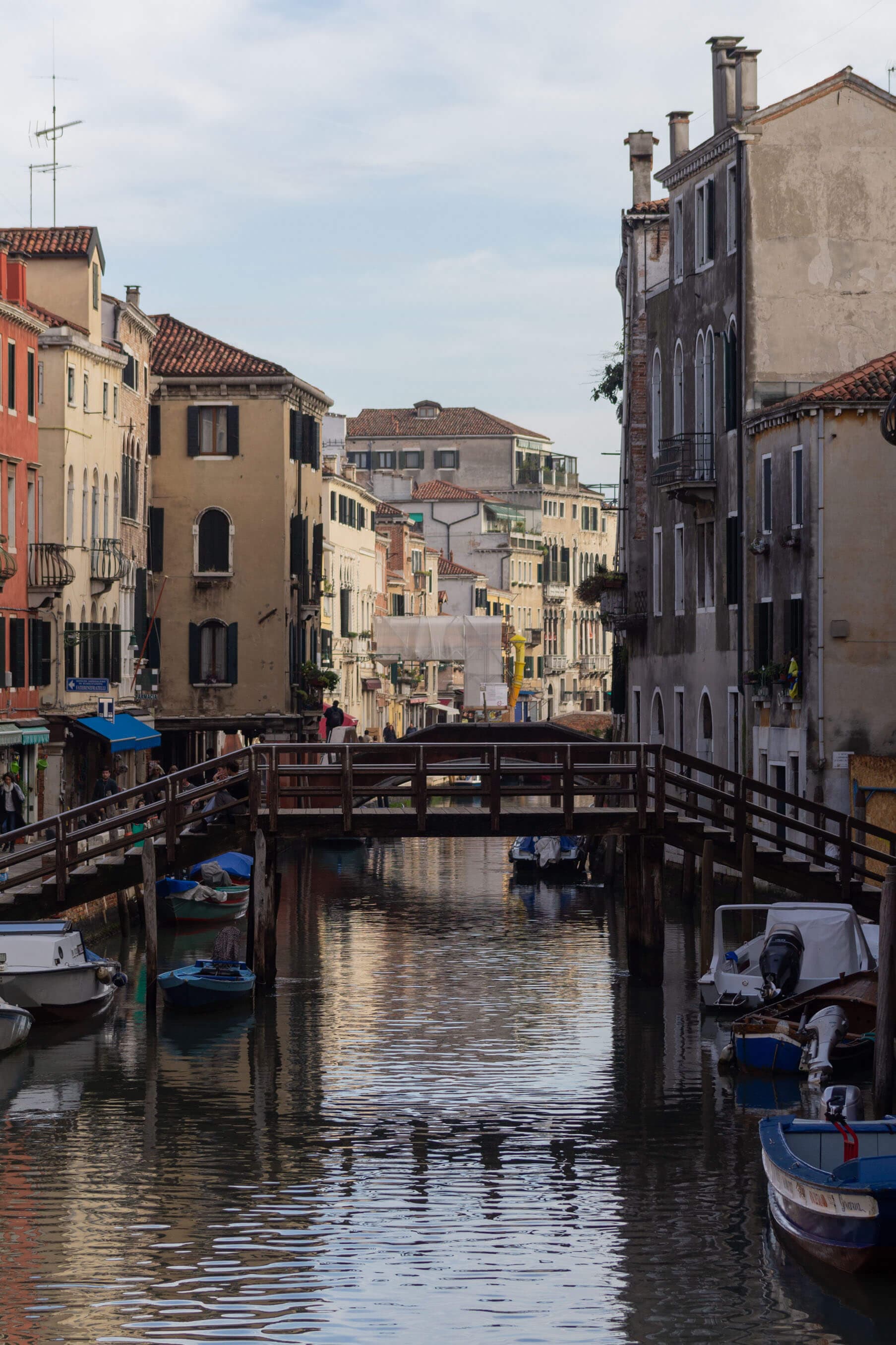 photographer image 9