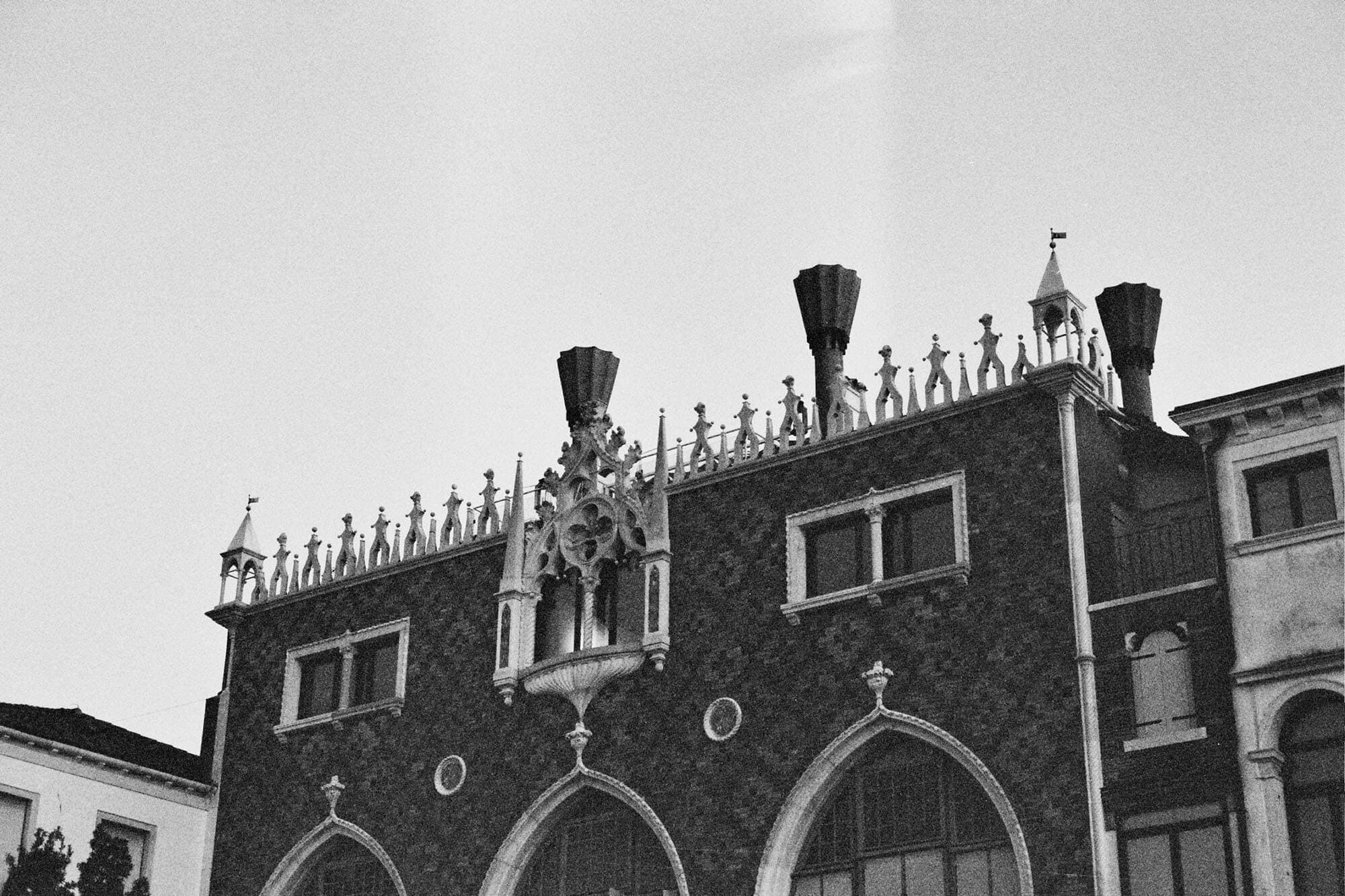 photographer image 5