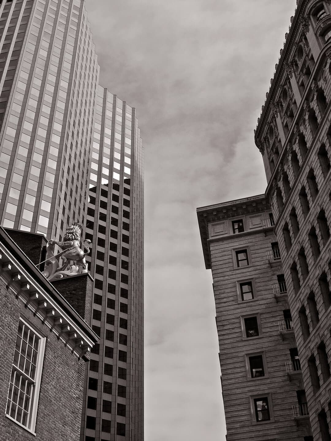 photographer image 2