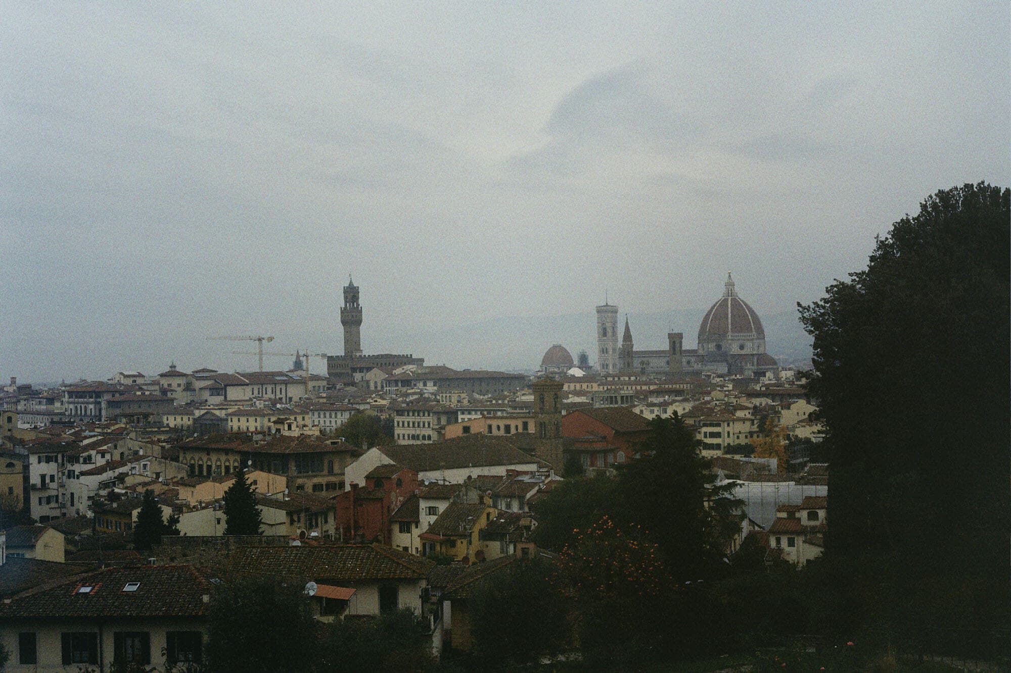 photographer image 1