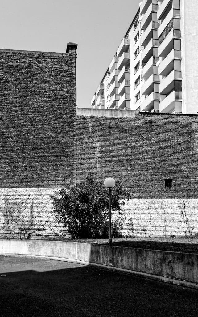 photographer image 2